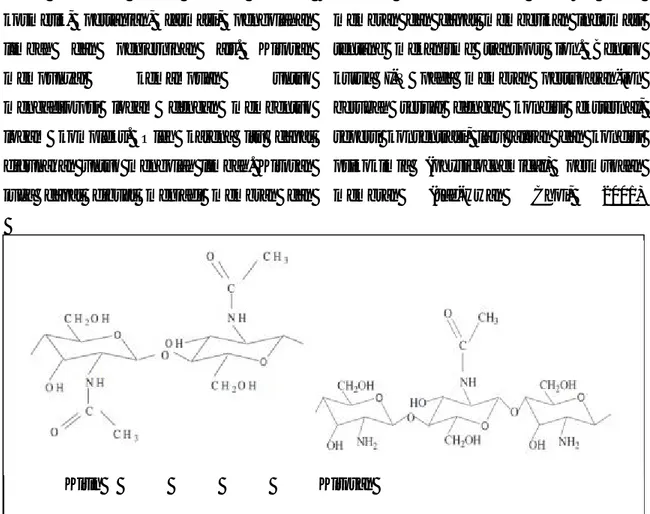 Gambar 1.1.  Struktur Kimia Kitin dan Kitosan (Nur, 2007)  Kurvanya  akan  memperlihatkan  adanya  tiga 