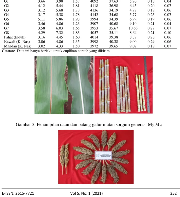 Tabel 3. Analisa biomassa batang galur-galur mutan sorgum dan tanaman kontrol 