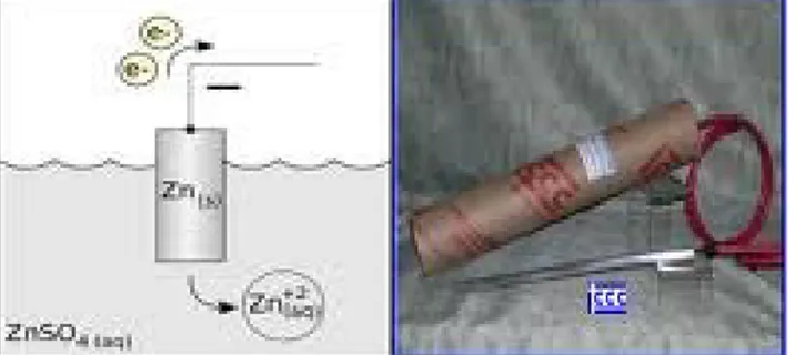 Gambar 1.6 Elektroda Zn  a) seng dalam Zn  2+ , b) Elektroda Zn sebagai Pembanding 1.6.2 Elektroda Hidrogen Standar (SHE) sebagai Elektroda Pembanding