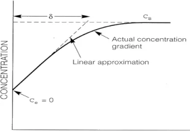 Gambar 3.4 Profil Konsentrasi ion H + 