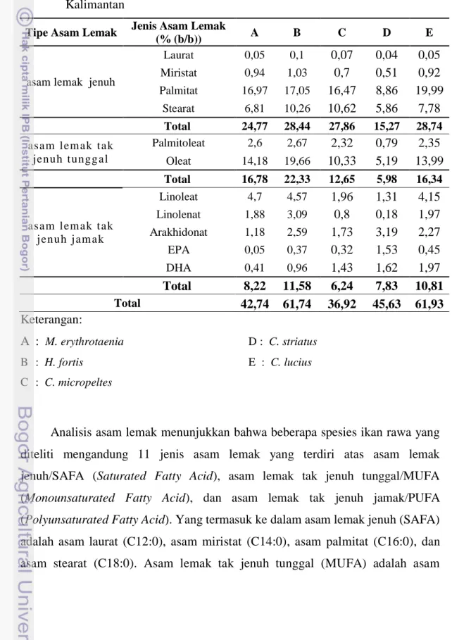 Tabel 7  Hasil  analisis  asam  lemak  beberapa  ikan rawa di perairan  rawa selatan  Kalimantan 