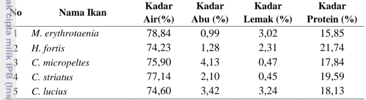 Tabel 4  Hasil  analisis  proksimat  beberapa  ikan  rawa  di  perairan  rawa  selatan  Kalimantan 