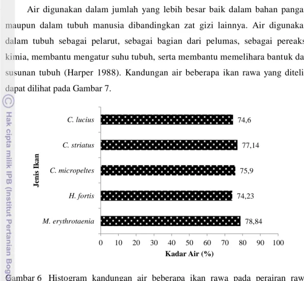 Gambar 6  Histogram  kandungan  air  beberapa  ikan  rawa  pada  perairan  rawa  selatan Kalimantan