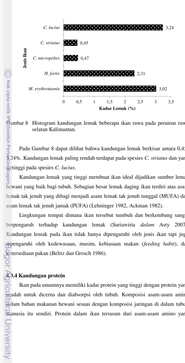 Gambar 8  Histogram  kandungan  lemak  beberapa  ikan  rawa  pada  perairan  rawa  selatan Kalimantan