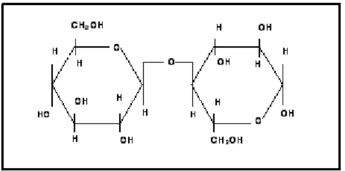 Gambar 2.3 Struktur Molekul Selubiosa