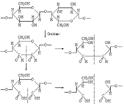 Gambar 2.6 Reaksi Oksiselulosa  
