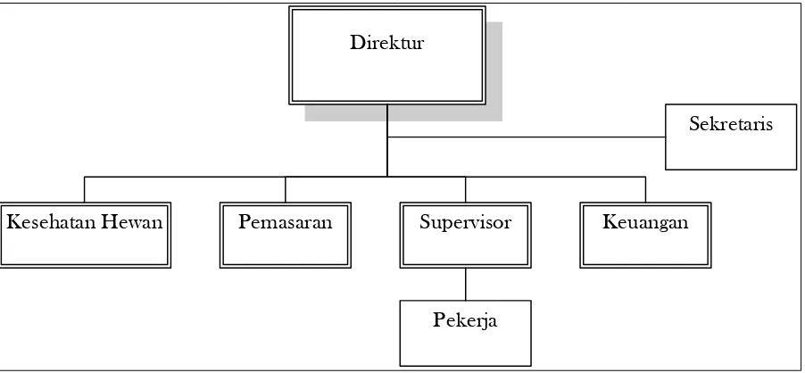 Gambar 2. Struktur Organisasi Peternakan Sapi Potong 