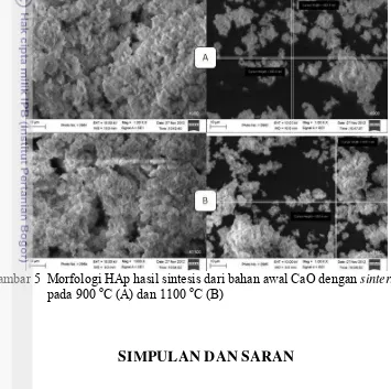 Gambar 5A (sinteringsebesar 32.25 nm, sedangkan  CaO pada 900 C) menghasilkan ukuran kristal HAp sintering CaO pada 1100 oC menghasilkan ukuran 