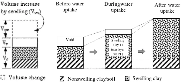 Figure 6. The model of swelling deformation of compacted expansive clay.