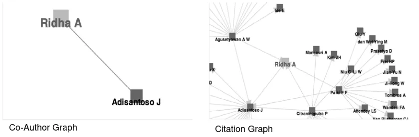 Figure 6. The Authors Relationship Visualization 