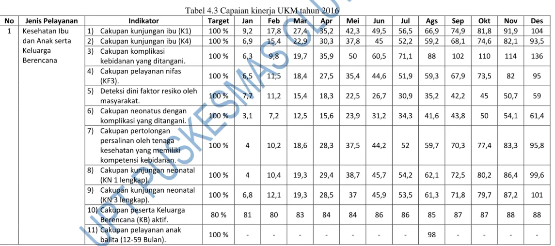 Tabel 4.3 Capaian kinerja UKM tahun 2016 