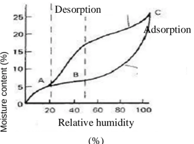 Gambar 2.2. Kurva Sorption Isoterm 