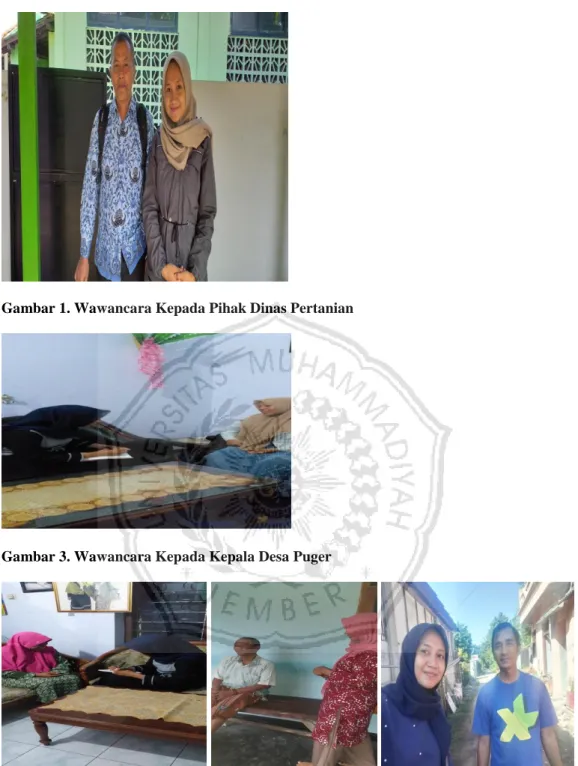 Gambar 1. Wawancara Kepada Pihak Dinas Pertanian 