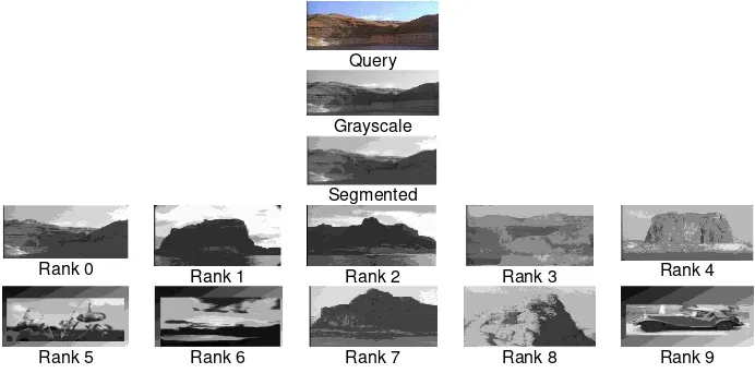 Figure 3.   Result examples of the system for segmented images retrieved with RGB image query, RGB image converted into grayscale, the grayscale image then partitioned by region growing technique