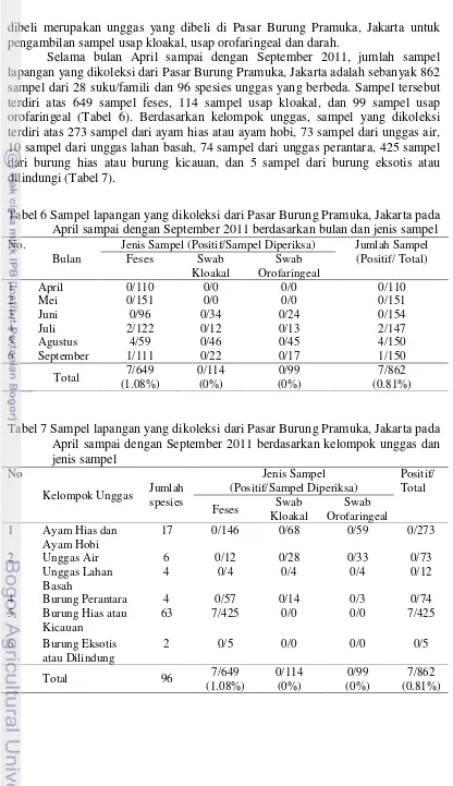 Tabel 7 Sampel lapangan yang dikoleksi dari Pasar Burung Pramuka, Jakarta pada 