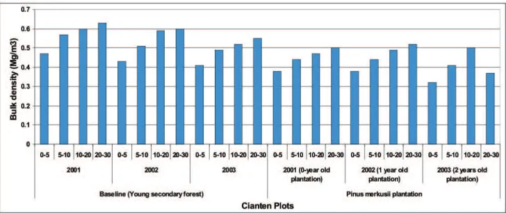 Figure 2. Comparison of annual bulk density of baseline plots and newly established Pinus merkusii plantation plot in Cianten among different depths from year 2001 to 2003