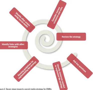 Figure 2. Seven steps toward a social media strategy for EMBs