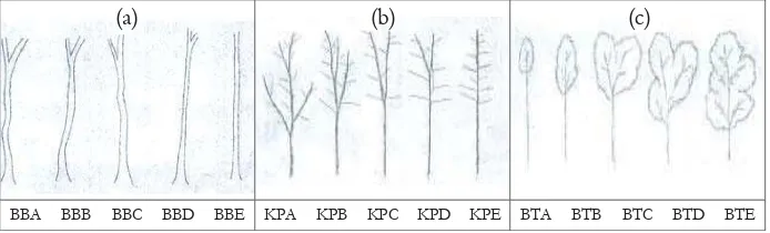 Figure 2. Categories of stem form (a), branching system (b), and crown form (c)