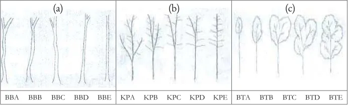 Figure 2. Categories of stem form (a), branching system (b), and crown form (c)