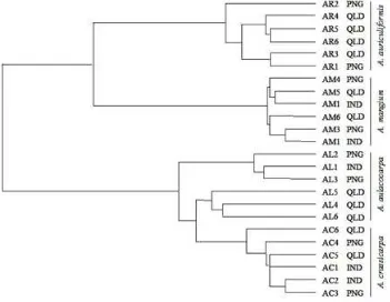 Figure 3. he relationships between four Acacia species. Number of each seed source according to Table 1 
