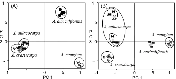 Figure 4. Principal components analysis of RAPD fragments. (A) Plot of the irst two principal components