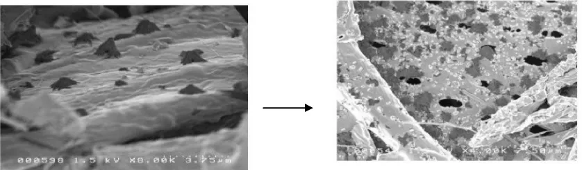 Gambar 5. Proses pembentukan pori arang Figure 5. Process of charcoal pore formation  