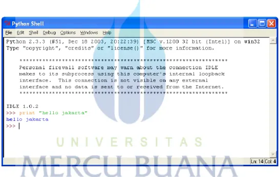 Gambar 2.4 Tampilan Hasil Eksekusi Baris Perintah Dalam Python (IDLE) 