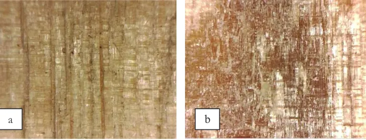 Gambar 1. Warna kayu tidak terpapar H SO  (a) dan warna kayu yang terpapar H SO  (b)2Figure 1