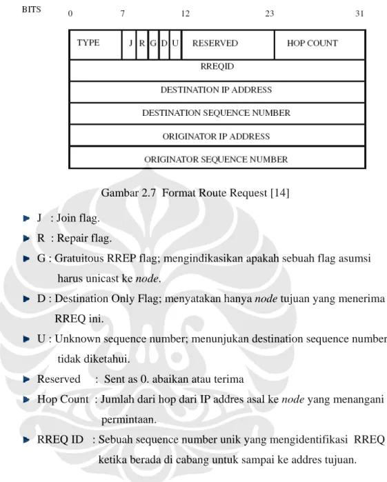 Gambar 2.7  Format Route Request [14] 