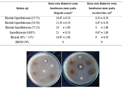 Tabel 6. Hasil uji aktivitas antibakteri kombinasi ekstrak etanol daun jambu monyet 