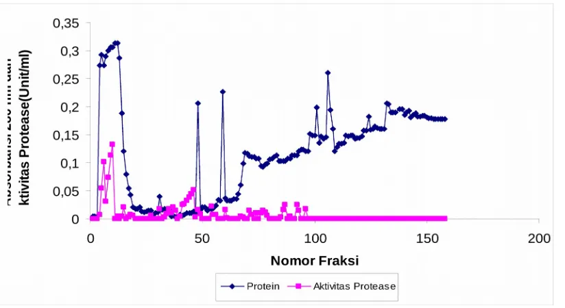 Gambar 2.  Kromatogram protease isolat A6S3 dengan Sephadex G-100