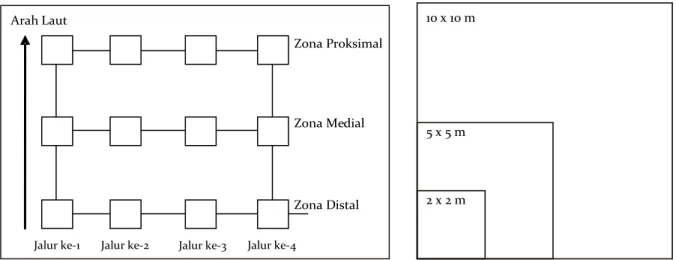 Gambar 1. Desain penempatan petak ukur Figure 1. Placement design of sampling units