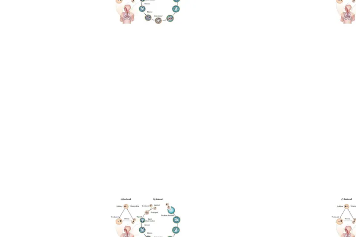Gambar 1. Siklus hidup Pneumocystis jirovecii