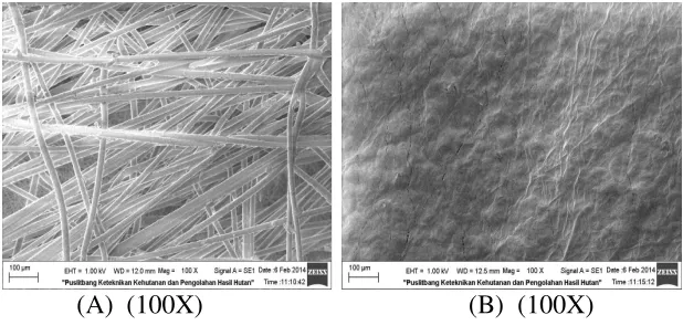 Gambar 3. SEM Matriks serat nano 