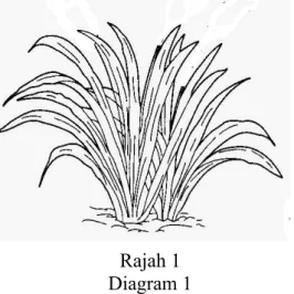 Diagram  1 shows a plant that lives in a field. 