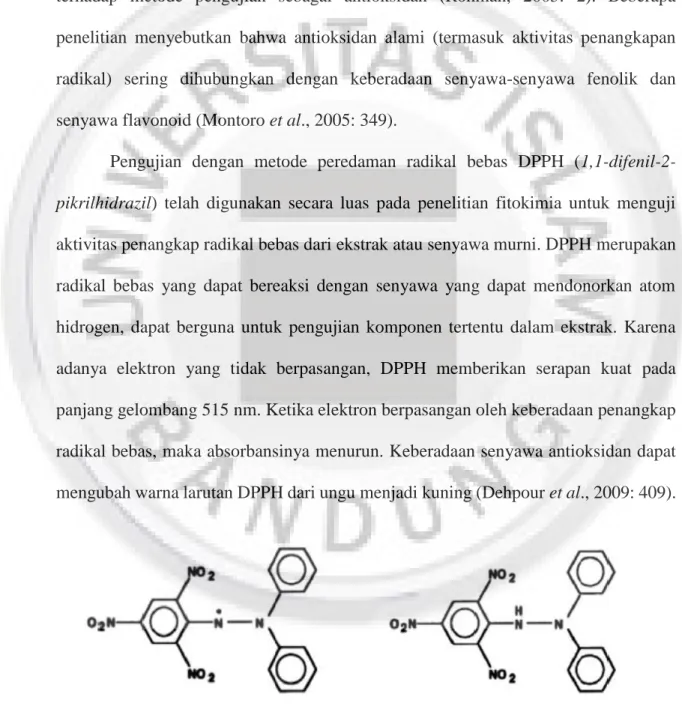Gambar I.3 Struktur DPPH radikal bebas dan non-radikal (Molyneux, 2003: 212). 