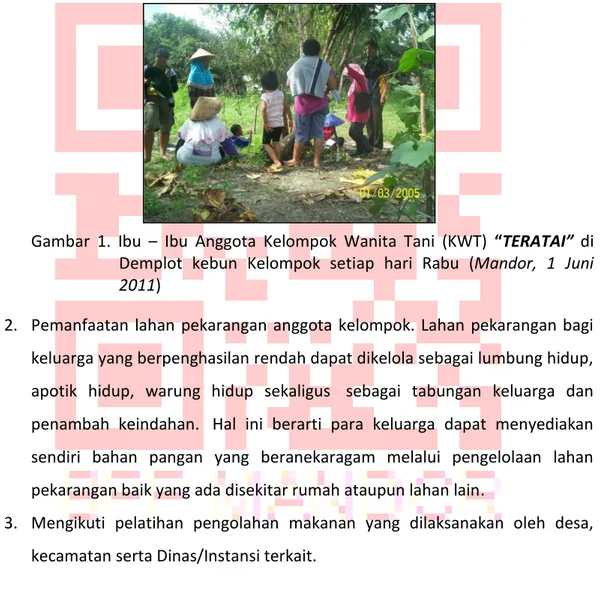 Gambar  1.  Ibu  –  Ibu  Anggota  Kelompok  Wanita  Tani  (KWT)  “TERATAI”  di  Demplot  kebun  Kelompok  setiap  hari  Rabu  (Mandor,  1  Juni  2011) 