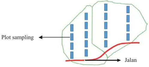 Gambar 2. Metode penyebaran plot dengan purposive samplingFigure 2. Deployment method with purposive sampling plot