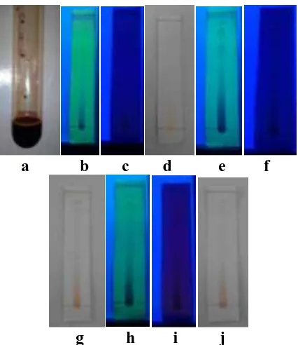 Gambar 1.Hasil uji ekstrak tidak larut n-heksana dengan pereaksi warna,dan foto hasil KLT pada lempeng Silika gel 60 GF254, eluen:n-heksana:etil asetat:metanol (1:5:1), jarak elusi 7 cm