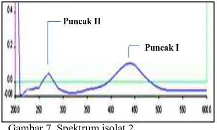 Gambar 7. Spektrum isolat 2 