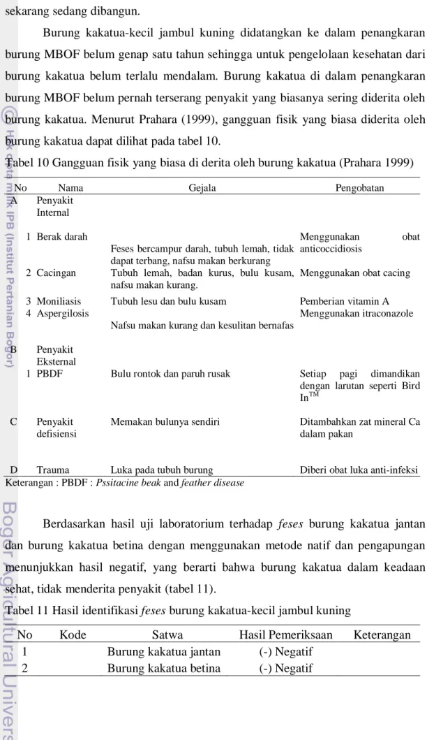 Tabel 10 Gangguan fisik yang biasa di derita oleh burung kakatua (Prahara 1999) 