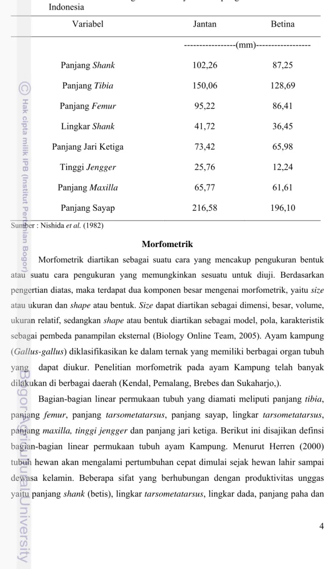Tabel 1. Rataan Ukuran Kerangka Tubuh Ayam Kampung Jantan dan Betina di  Indonesia 