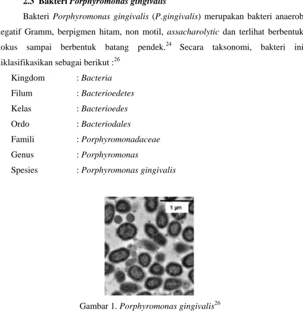 Gambar 1. Porphyromonas gingivalis 26 