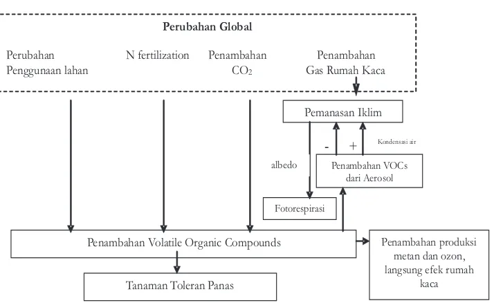 Gambar 1 (Figure 1). Diagram interaksi antara iklim yang panas dan senyawa-senyawa organik yang mudah menguap VOCs (Diagram of  the interaction between climate warming (global change) and Volatile Organic Compounds (VOCs)).