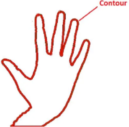 Gambar 2.8. Contour (Dhawan &amp; Honrao,  2013) 
