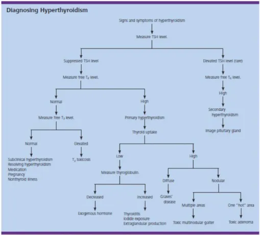 Gambar 2.11 Algoritma diagnosis hipertiroid (Reid, 2008)