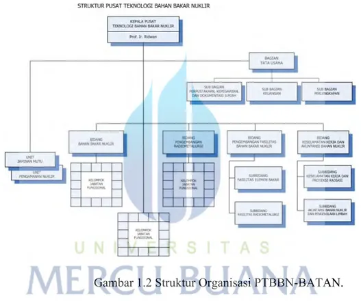 Gambar 1.2 Struktur Organisasi PTBBN-BATAN.  1.11  Fasilitas di PTBBN-BATAN 