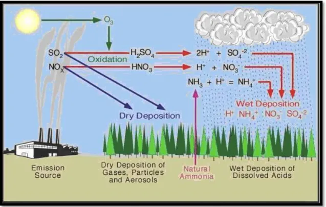 Diagram proses terjadinya hujan asam 