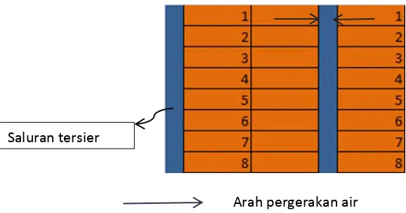 Gambar 3.5. Skematis sitem lahan usaha tani dan saluran tersier  