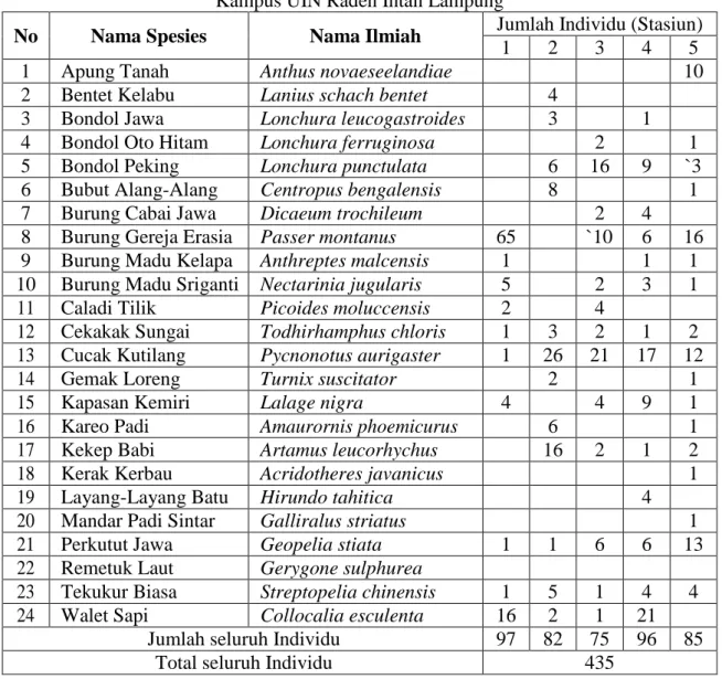 Tabel 1. Spesies-spesies Burung dan Jumlah Individu pada Lima Stasiun Pengamatan di  Kampus UIN Raden Intan Lampung 